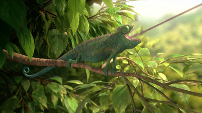 Our wonderful Nature (The common chameleon) Image 1