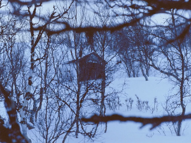 La Fille à la recherche de la cabane