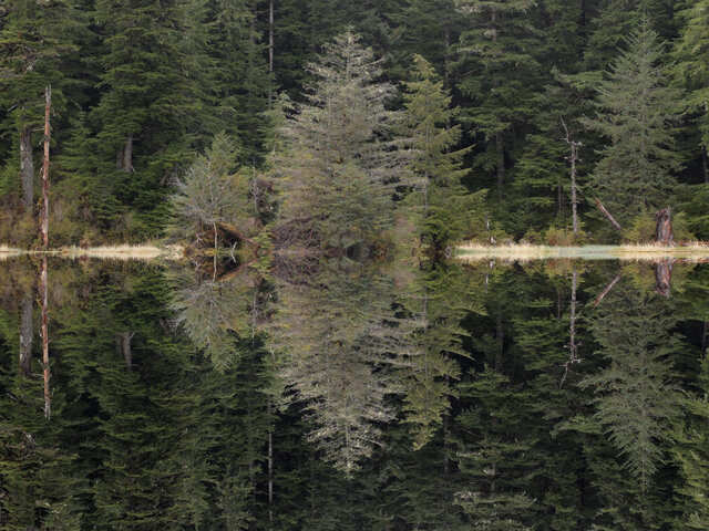 Mirrorpond