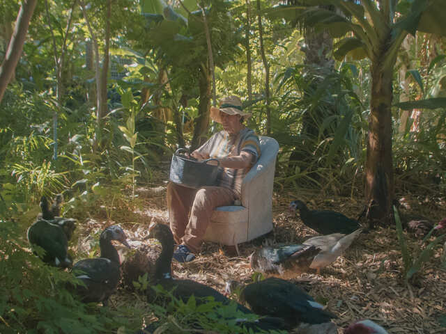 Pedro Tomás explica el mundo