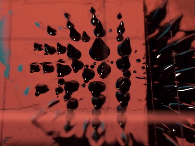A Seed Is Planted