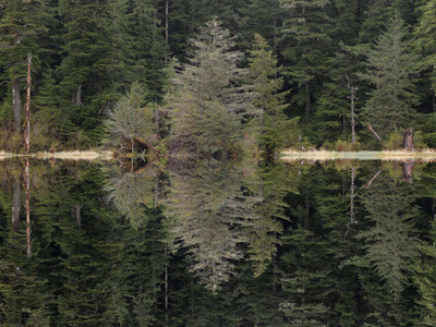 Mirrorpond
